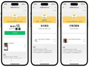 美团代付可对接易支付版源码