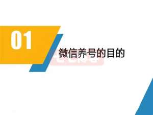 2024年最新微信权重号养号方法