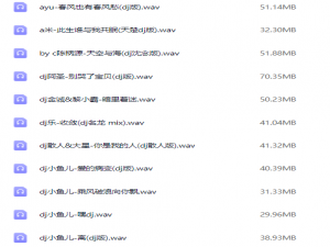 2025年车载必备326首抖音DJ嗨曲精选合集，劲爆热辣嗨翻你的音乐世界