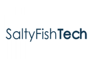 SaltyfishTech：德国AS9929联通优化线路，季付85折，$19/季度，2核/2GB/30GB/1TB流量/300Mbps带宽
