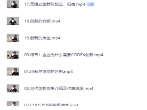 互联网时代创新密码20讲 从入门到高级CODEX创新体系