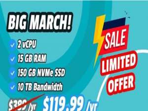 Hostigger土耳其VPS：15G内存/150GB SSD/10TB月流量/1Gbps/119.99美元/年