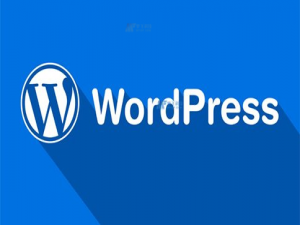 虚拟主机搭建WordPress网站全攻略：零基础快速建站