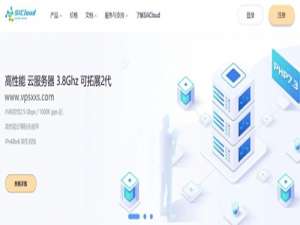 RAKsmart双11狂欢节，大陆优化100M/不限流量美国独立服务器30美元秒杀中