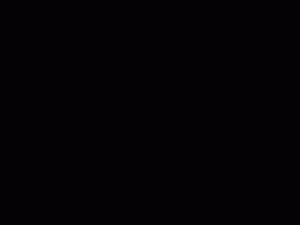 VPS服务器性能一键测试脚本_IP路由/CPU基准/内存读取/下载上传速率测试脚本