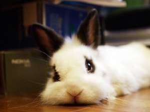 幽默的QQ心情：要不是打不过你，早就跟你翻脸了