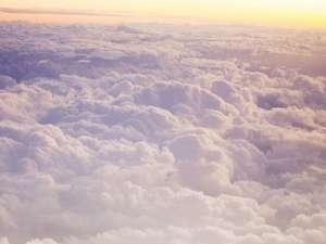 QQ空间个性短句：哪怕遍体鳞伤，也要爱得潇洒！