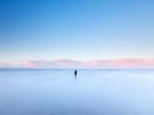 转发最多的说说：那些说着永不分离的人，早已散落在天涯