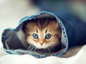 很有内涵的说说：在最深的绝望里，遇见最美丽的风景