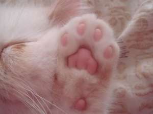 搞笑个性说说：寒假作业我们分手吧，我想我们真的不合适