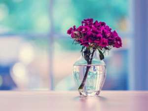 伤感短说说：我对你设置了特别关心，你却对我设置了访问权限