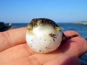 搞笑QQ说说大全：月考是会呼吸的痛，它活在我身上每个角落