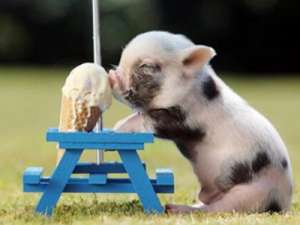 一句话经典搞笑语录：老师我们能换一种授课方式吗？比如，托梦