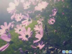 2021年说说-很丧的个性签名