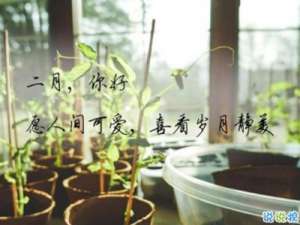 你好二月朋友圈唯美句子2020 1月再见2月你好文案