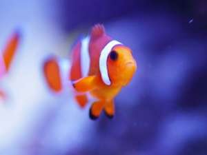 关于网恋奔现后失恋的说说大全 一段奔现就结束的感情