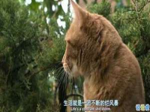 微信励志说说图片带字：有时间绝望，还不如去吃美食然后睡个觉