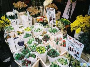 形容爱情的唯美经典句子 最唯美的一句话爱情说说2019