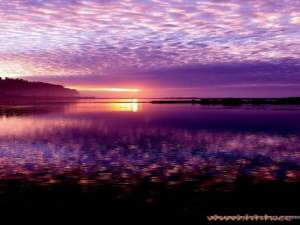 两个人在一起最重要的是要彼此信任，而不是互相猜忌