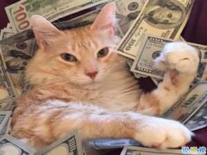 可爱说说配图2018女生专属 我生来就是宝贝，来到世间就是被宠的