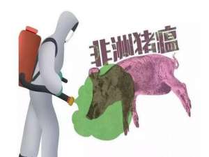 农业和农村事务部:养猪场应预防和控制非洲猪瘟等重点疾病，并应自觉关闭养殖场，减少对外交流