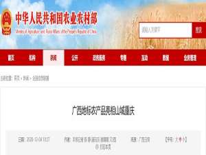 广西标志性农产品出现在山城重庆