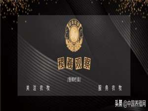 鸡西观察音频栏目:从头条享受计划看农村振兴的产业方向