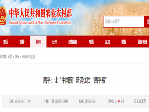西平:让“中国碗”装满优质“西平粮”