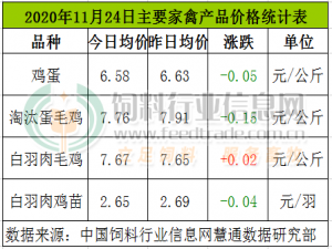11月24日，CFT鸡的蛋价波动，白羽鸡涨跌