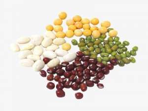 豆类的限量供应在高位波动