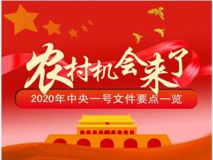 以2020年中央一号文件为例