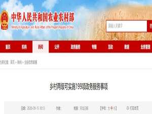 199 .政府服务可以在村一级实施