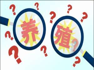 快速了解水产养殖业的秘密——中国水产养殖网
