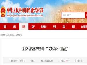 湖北各种措施的效果已经显现，生猪供应已经没有“加速度”了