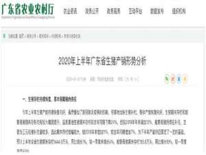 最新官方预测:第三季度生猪价格将超过40元/公斤的高点