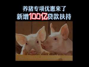 《冀观察》专栏:养猪专场新增100亿贷款支持
