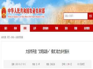 大安市开启“文明实践+”模式助力农村振兴