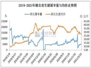 湖北肥猪屠宰安排仍是个难题