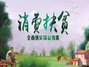 消费扶贫要做好市场化产销对接