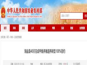 海盐县在40天内100%完成海龟养殖退转型签约