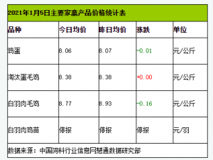 1月5日，CFT鸡鸡蛋价格继续大幅波动，白羽鸡价格继续回调