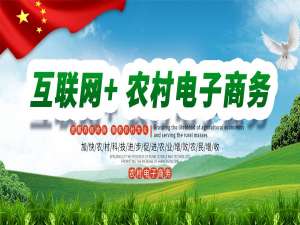 随着“互联网+”的深入发展，农村电子商务正成为精准扶贫的重要切入点和农村振兴的新动力