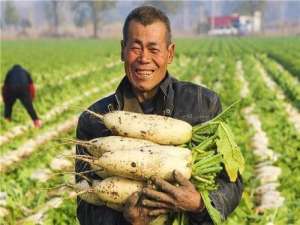 回顾40年:中国减贫的成功之道是什么？