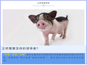 正邦需要什么样的领导？