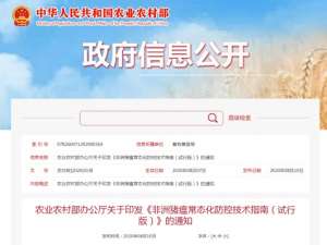 非瘟疫正常化！中小型养猪场如何防控？农业和农村事务部发布了一份防治指南，告诉你该怎么做...
