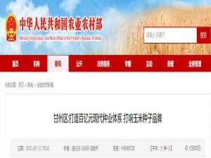 赣州区:打造100亿元现代种业体系，打造玉米种子品牌