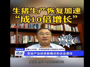 《鸡西观察》专栏:生猪生产恢复加速“十倍增长”