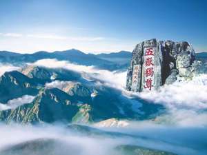 山东异地扶贫搬迁的贫困人口全部稳定脱贫