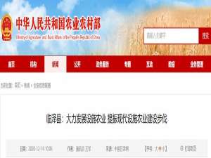 临泽县:大力发展设施农业，加快现代设施农业建设步伐