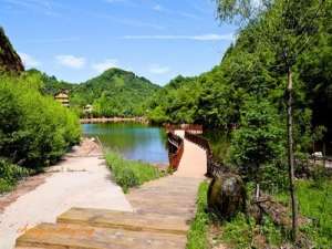 【新的一年要下基层】东西合作，让扶贫工场扎根水源